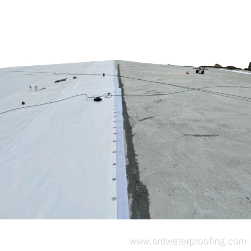 Best selling SRD HDPE Pre-applied Membrane for waterproofing